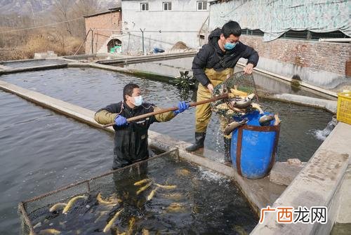 农村种植养殖合作社 水产养殖合作社怎么办