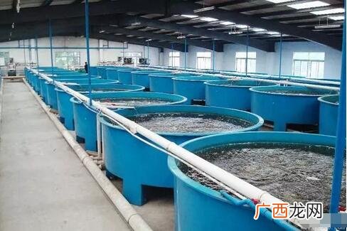 农村种植养殖合作社 水产养殖合作社怎么办