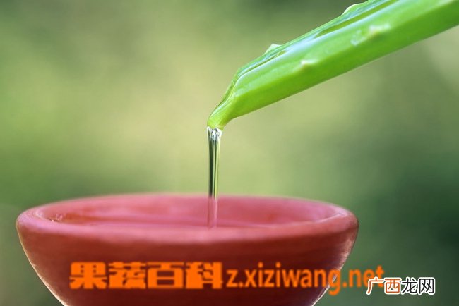 芦荟汁的功效与作用 喝芦荟汁的好处