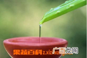 芦荟汁的功效与作用 喝芦荟汁的好处