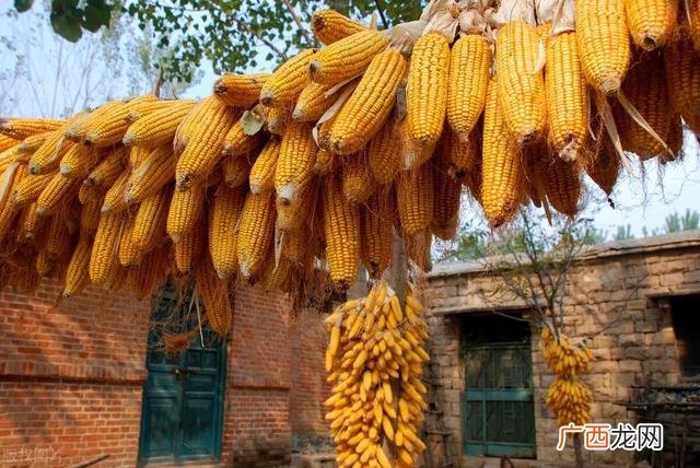 2020年做什么小生意能赚钱 工业区适合做什么生意
