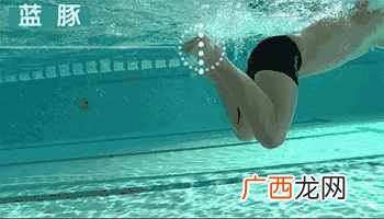 零基础自学游泳 怎么学游泳 初学者