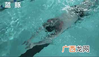 零基础自学游泳 怎么学游泳 初学者