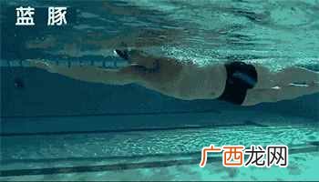 零基础自学游泳 怎么学游泳 初学者