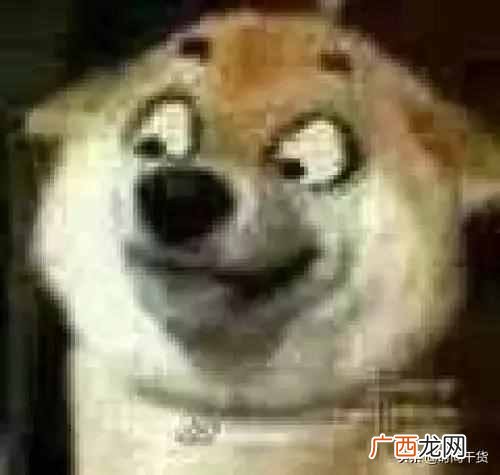 百度网盘怎么用迅雷下载不了（百度硬盘文件能