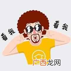 VIVO手机丢了而且关机 手机丢了怎么找回
