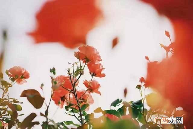 2019新闻及其评论 新闻评论怎么写格式