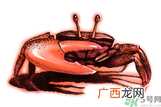吃螃蟹后呕吐怎么办?吃螃蟹呕吐吃什么药?