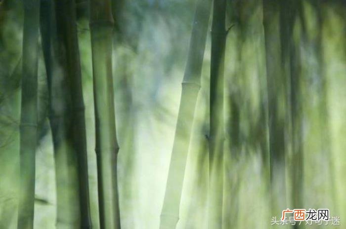 坚强到让人心疼的语录 坚强的个性签名