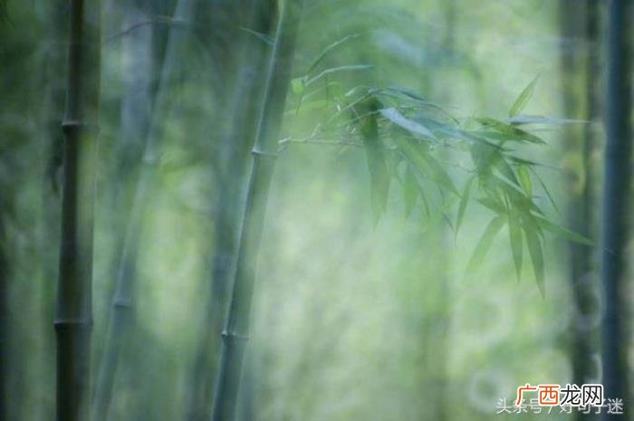 坚强到让人心疼的语录 坚强的个性签名