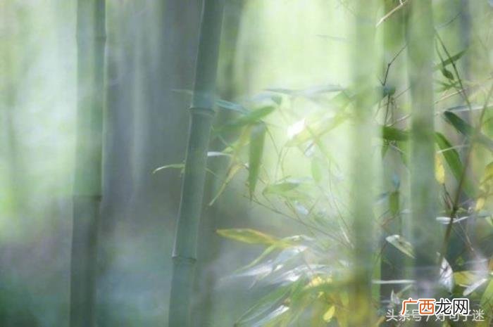 坚强到让人心疼的语录 坚强的个性签名