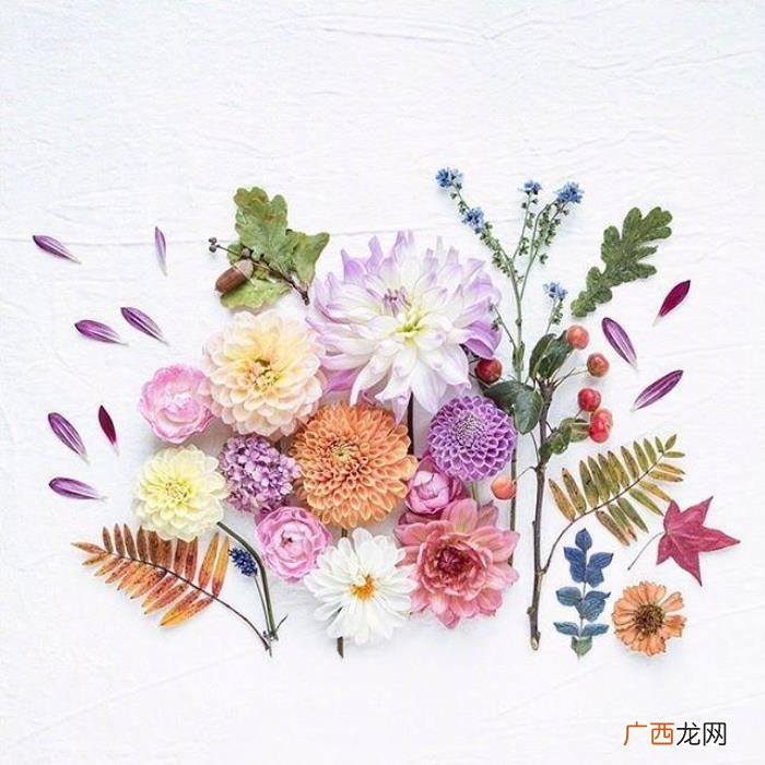 母亲节对妈妈说的感恩的话 感谢母亲的话