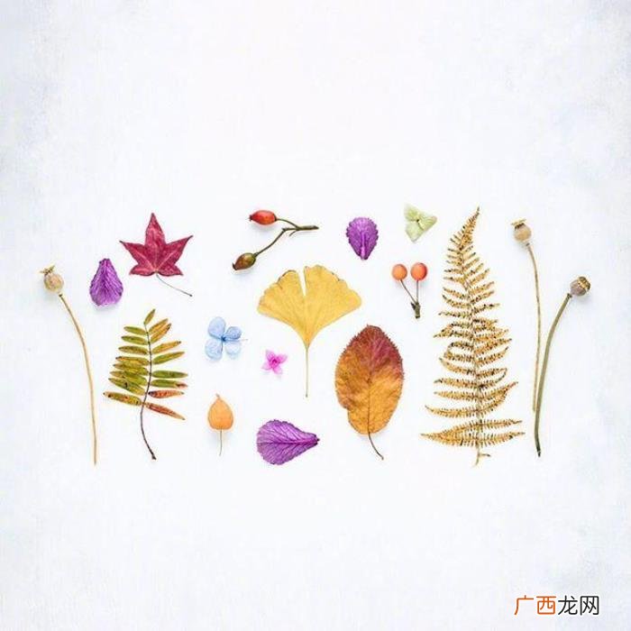 母亲节对妈妈说的感恩的话 感谢母亲的话