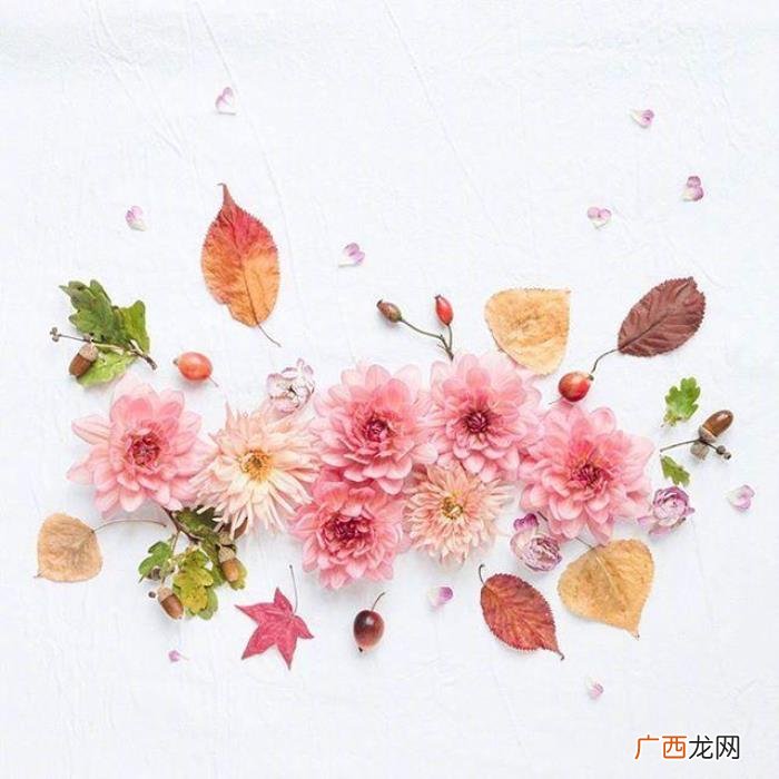 母亲节对妈妈说的感恩的话 感谢母亲的话