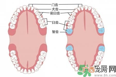 智齿横着长怎么办？智齿横着长一定要拔了吗？
