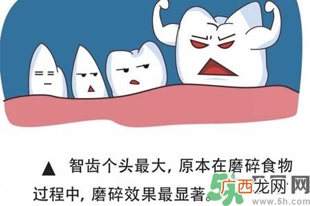 智齿横着长怎么办？智齿横着长一定要拔了吗？