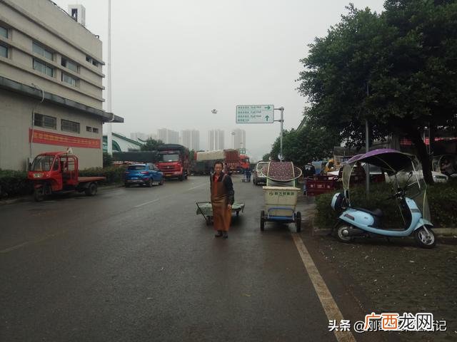蔬菜一般几点去批发,批发蔬菜去哪里进货