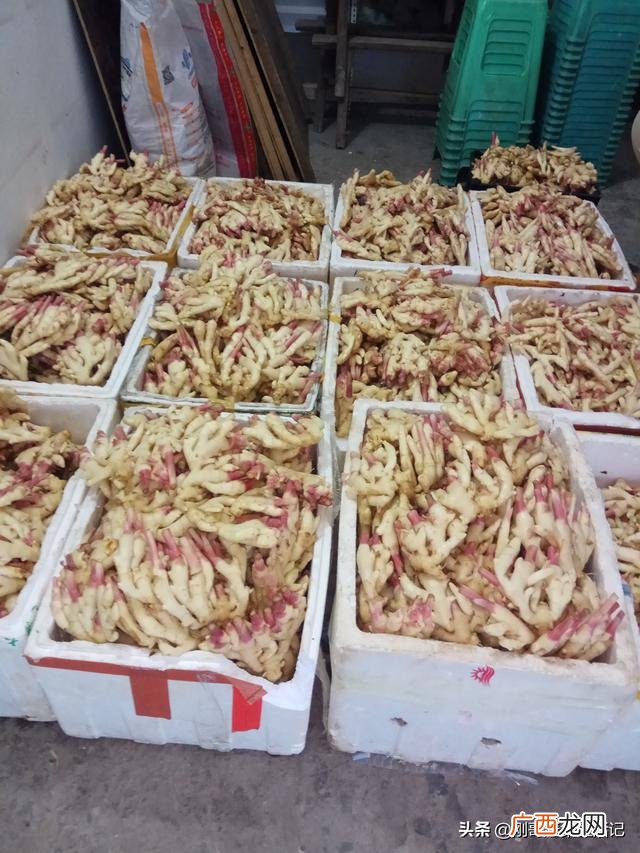 蔬菜一般几点去批发,批发蔬菜去哪里进货