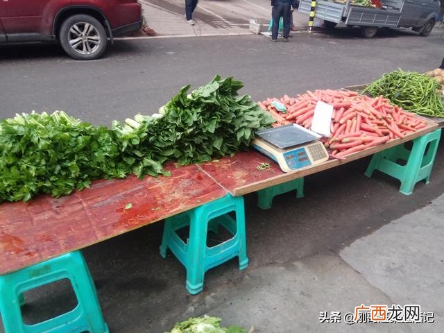 蔬菜一般几点去批发,批发蔬菜去哪里进货
