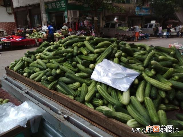 蔬菜一般几点去批发,批发蔬菜去哪里进货