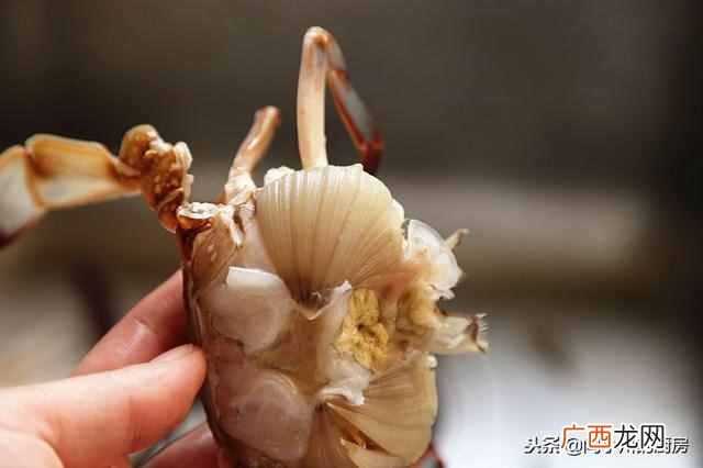螃蟹怎么清理内脏 螃蟹怎么做好吃又简单
