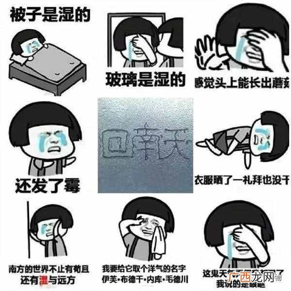 快速解决屋里潮湿 南方的回南天怎么办