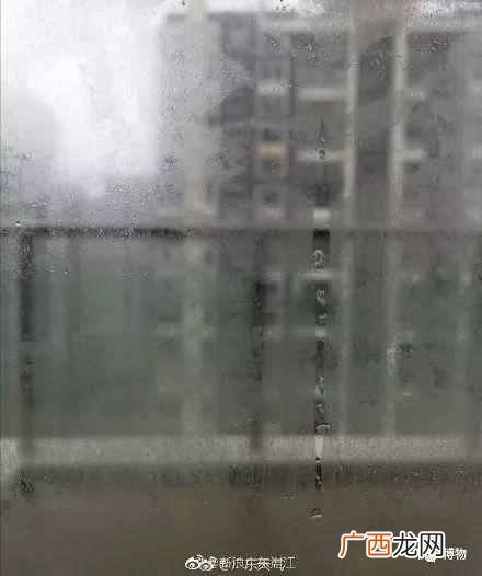 快速解决屋里潮湿 南方的回南天怎么办
