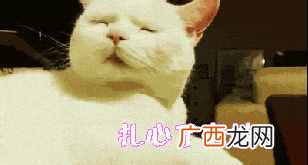 黑头怎么去除最有效发（学生顽固黑头该怎么去