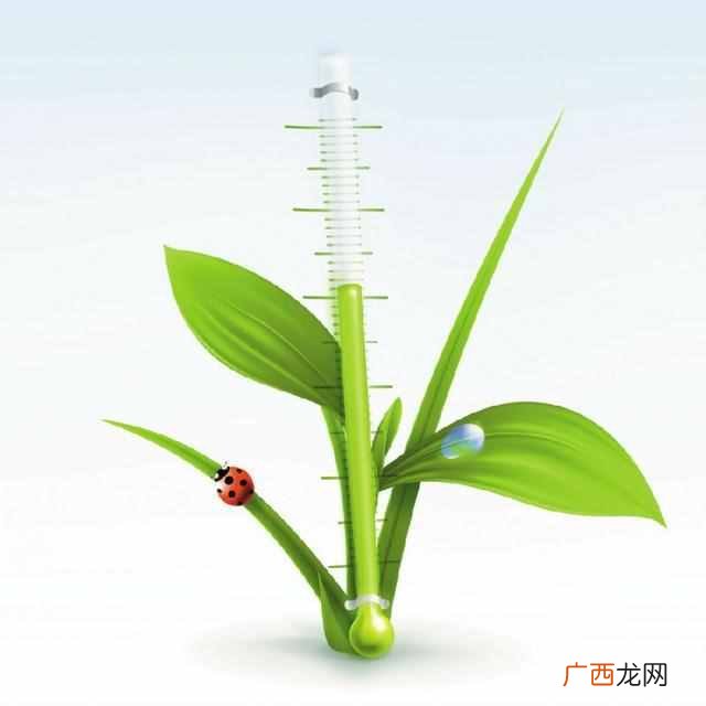 水银体温计怎么看发烧 体温计怎么看