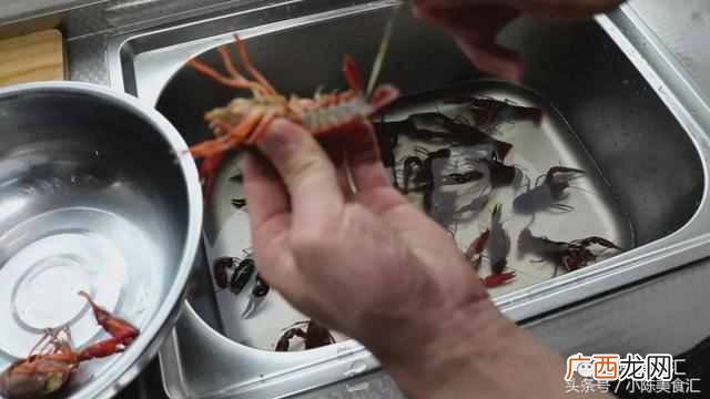正宗麻辣小龙虾的做法 小龙虾怎么做