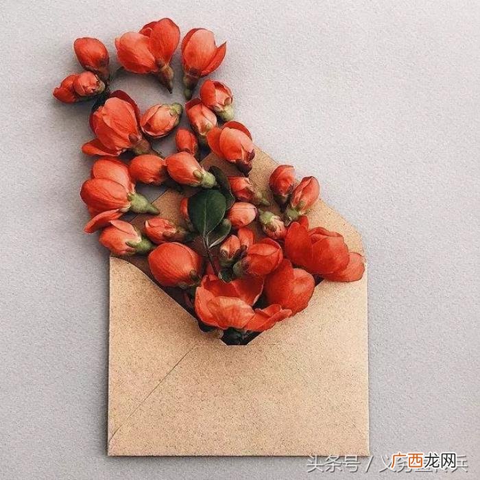 让女朋友感动到哭的话，能感动女朋友流泪的话