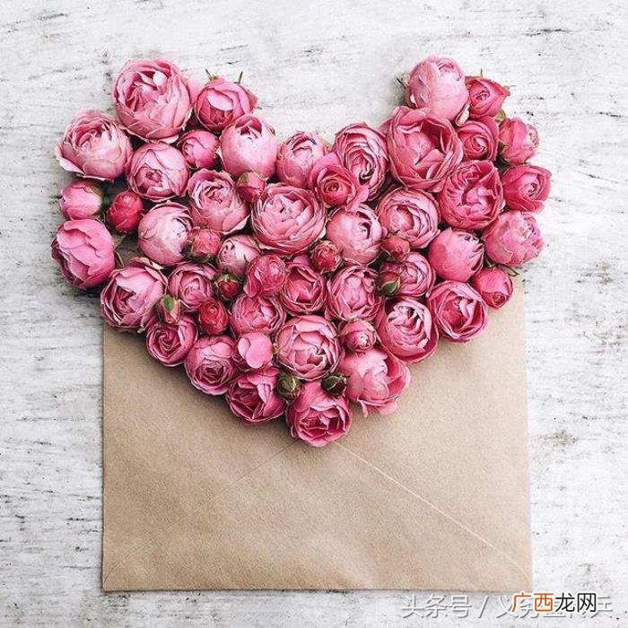 让女朋友感动到哭的话，能感动女朋友流泪的话