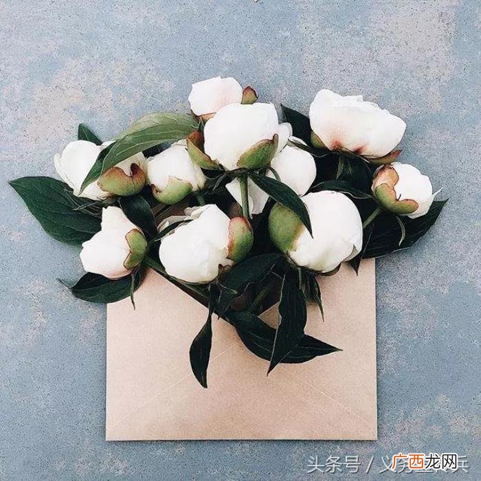 让女朋友感动到哭的话，能感动女朋友流泪的话