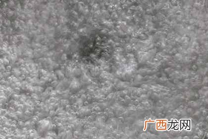 古茗的芝士芒芒怎么做 芝士芒芒什么时候