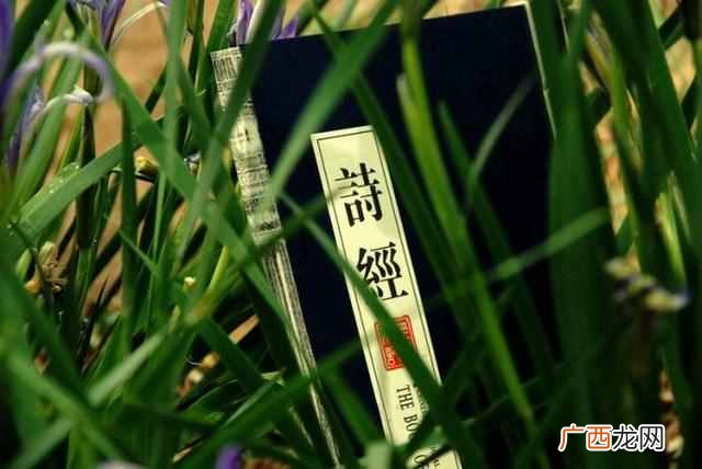 诗经是305篇还是311篇 诗经多少篇诗歌作品