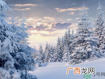 冻疮是由于皮肤哪一部分受损而引起的？