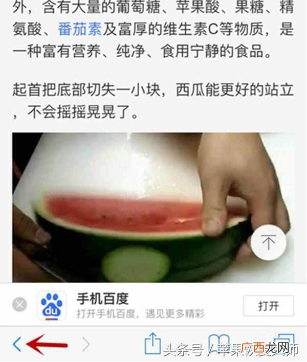 苹果手机的safari怎么使用 safari是什么意思