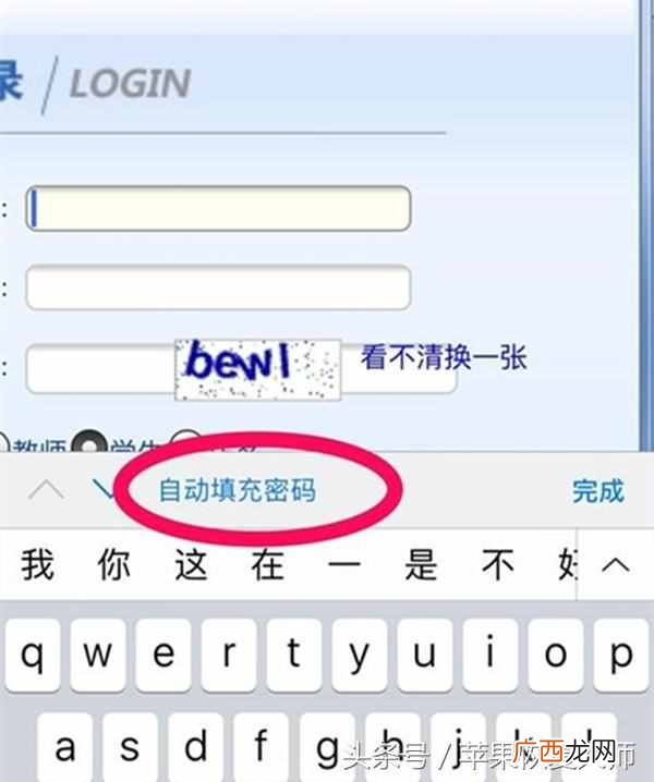 苹果手机的safari怎么使用 safari是什么意思