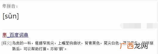 猎隼是种什么样的动物 隼读什么音