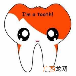 女人28颗牙是什么运势 人有多少颗牙齿