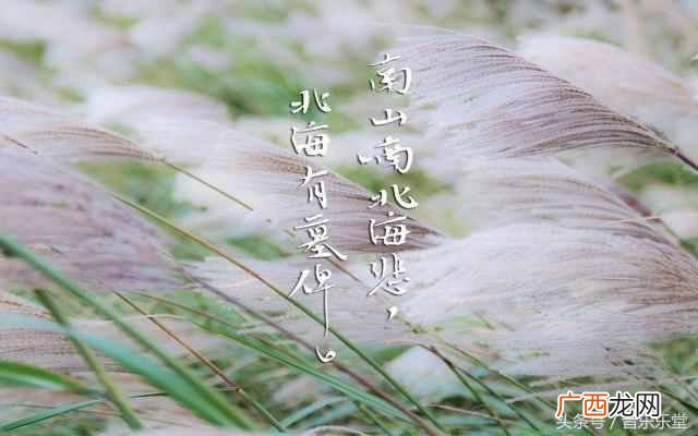 南山南歌词什么意思（南山南这首歌是想表达什