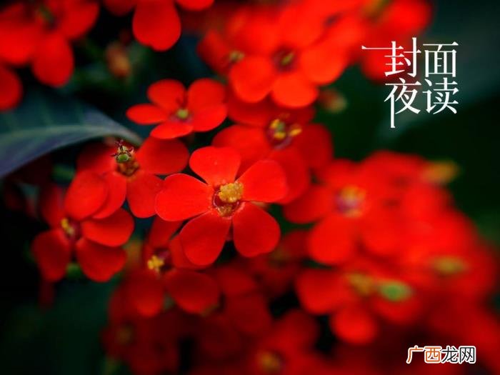 封面夜读｜告别过去 告别过去