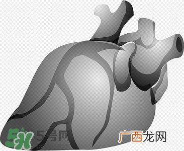 预防冠心病吃什么食物,冠心病饮食注意什么