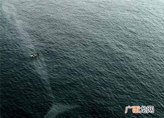 什么是深海恐惧症(有深海恐惧症是什么原因导