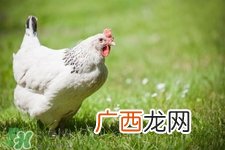 h7n9禽流感可以治愈吗？禽流感能治好吗？