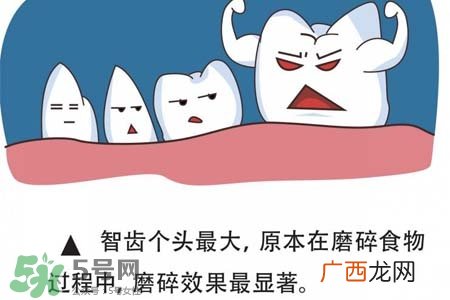 智齿经常发炎怎么办？智齿反复发炎肿痛怎么办？