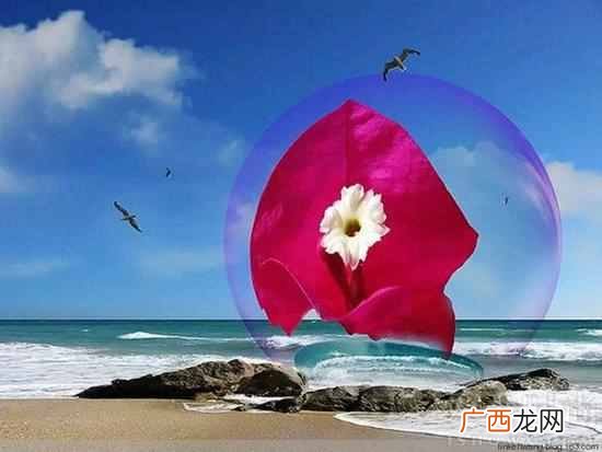 别人挖墙脚是什么意思（男朋友被挖墙脚是什么