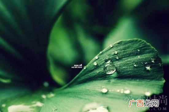 别人挖墙脚是什么意思（男朋友被挖墙脚是什么