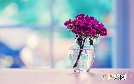 别人挖墙脚是什么意思（男朋友被挖墙脚是什么
