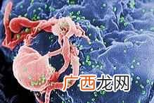 什么是生物学有什么分类（生物学所要研究的是